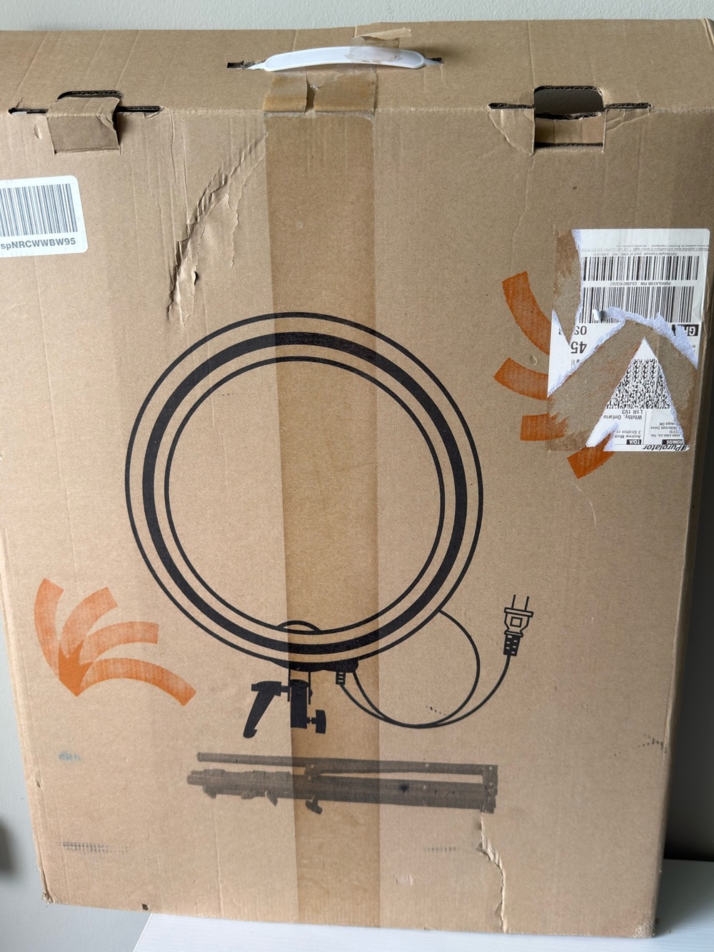 Neweer Ring Light with Mount 19”